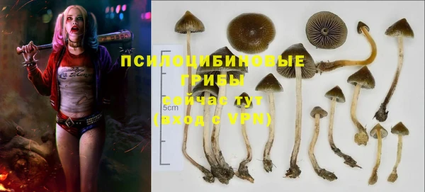 jwh Новодвинск